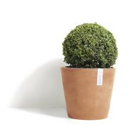 ECOPOTS  Amsterdam, 4035 , 