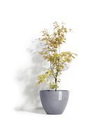 ECOPOTS  Antwerp, 4030 , -