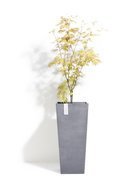 ECOPOTS  Rotterdam , 323270 , -