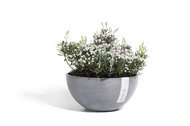 ECOPOTS  Brussels, 3014 , -