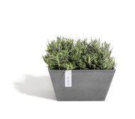 ECOPOTS  Berlin, 313116 , 