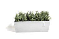 ECOPOTS  Bruges, 551717 , -