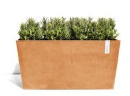 ECOPOTS  Paris, 994650 , 