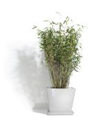 ECOPOTS  Rotterdam, 43433.5 , -