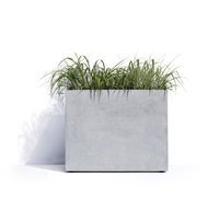 Cosapots  Roma, 904372 , -