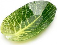  Leaf Lettuce, 13x22.73.3 