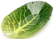  Leaf Lettuce, 17.5x27.44.3 