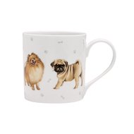 Ashdene  Kennel Club Toy Breed (300 )
