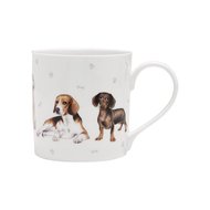 Ashdene  Kennel Club Hound Breeds (300 )