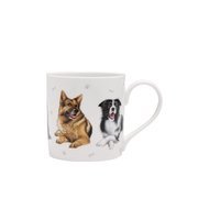 Ashdene  Kennel Club Working Breeds (300 )