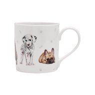 Ashdene  Kennel Club Non Sporting Breeds (300 )