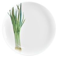 Noritake    .  , 24 