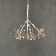Luca lights     ,   , 100 , 30 