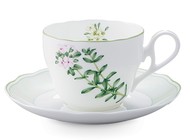 Noritake     