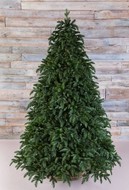 Triumph Tree  , 500 , -