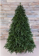 Triumph Tree  , 600 , -