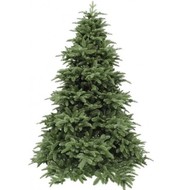 Triumph Tree   100% , 185 , -
