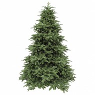 Triumph Tree   100% , 215 , -