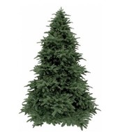 Triumph Tree   100% , 260 , -