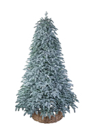 Triumph Tree    100% , 230 , 