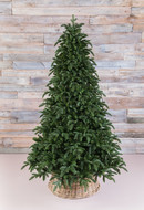 Triumph Tree   , 185 , -
