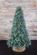Triumph Tree   , 215 , 