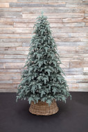 Triumph Tree   , 185 , -