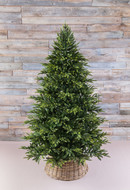 Triumph Tree   , 200 , 