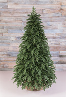 Triumph Tree   100% , 185 , 