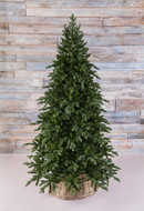Triumph Tree  , 155 , 