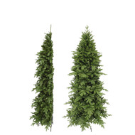 Triumph Tree   , 185 , 