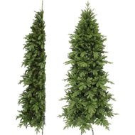 Triumph Tree   , 245 , 