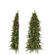 Triumph Tree    176 , 215 , 