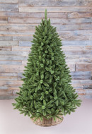 Triumph Tree   , 155 , 