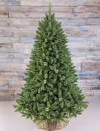 Triumph Tree   , 260 , 