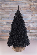 Triumph Tree  , 120 , 