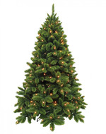 Triumph Tree    144 , 155 , 