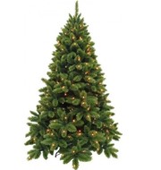 Triumph Tree    264 , 215 , 