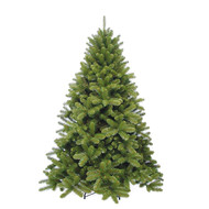 Triumph Tree  , 365 , 