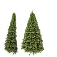 Triumph Tree   -, 185 , 