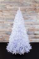 Triumph Tree  -, 185 , 