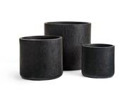 Treez  Ergo Cork , 4042 , 