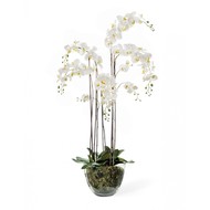 Treez  , 5    , 150 , 