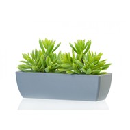Treez     , 121810 , -