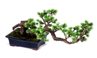 Treez  - , 3266 ,  