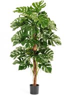 Treez   , 150 , 