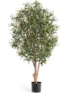 Treez    , 110 , -