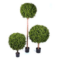 Treez    , 10540 , 