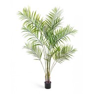 Treez   , 4 , 11 , 190 , 