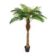    Sensitive Botanic, 14 , 160 